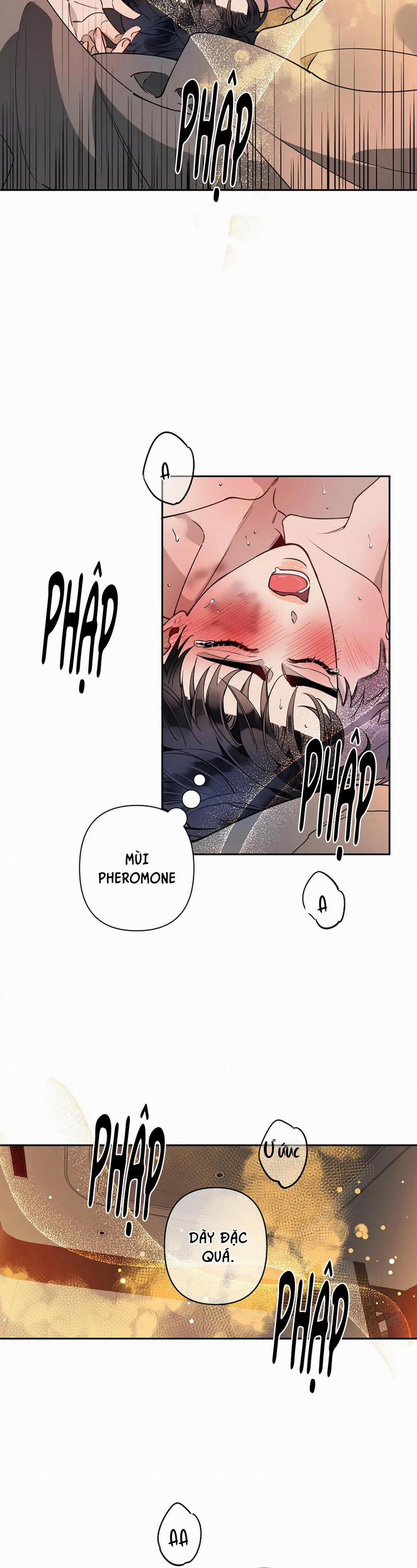 Đêm Dịu Dàng 14 trang 13