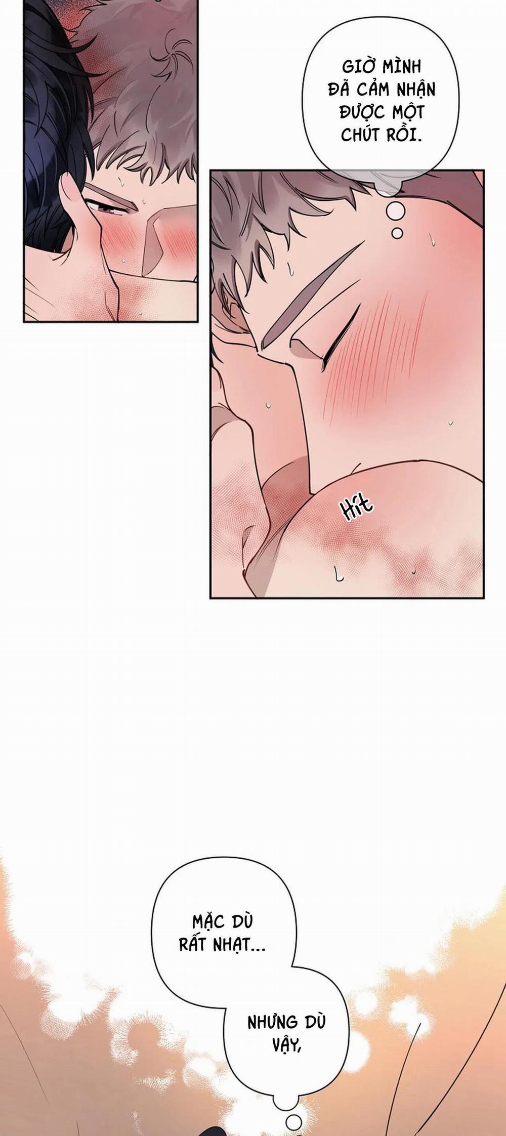 Đêm Dịu Dàng 14 trang 22
