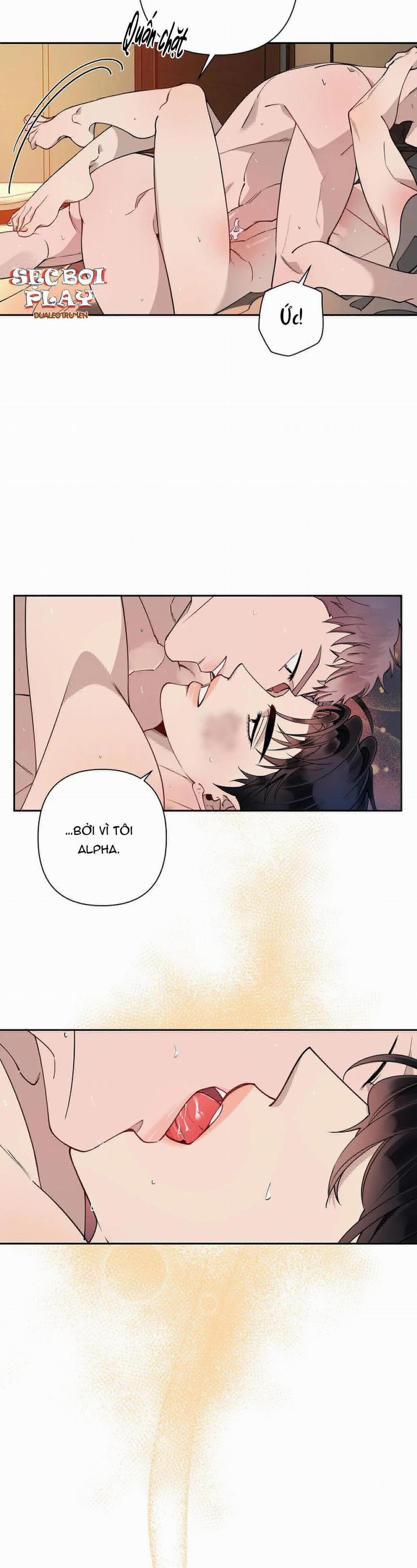 Đêm Dịu Dàng 14 trang 4