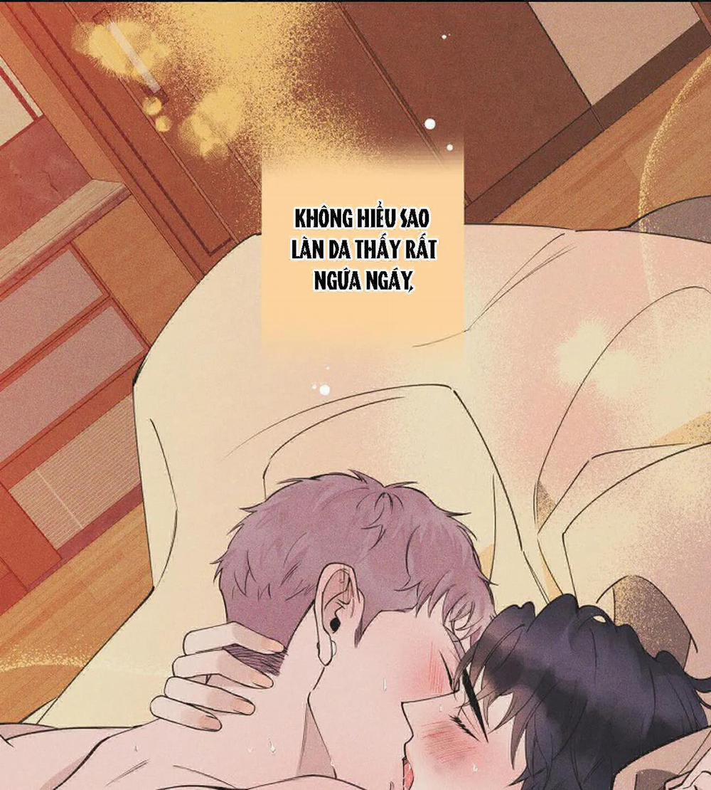 Đêm Dịu Dàng 15 trang 20