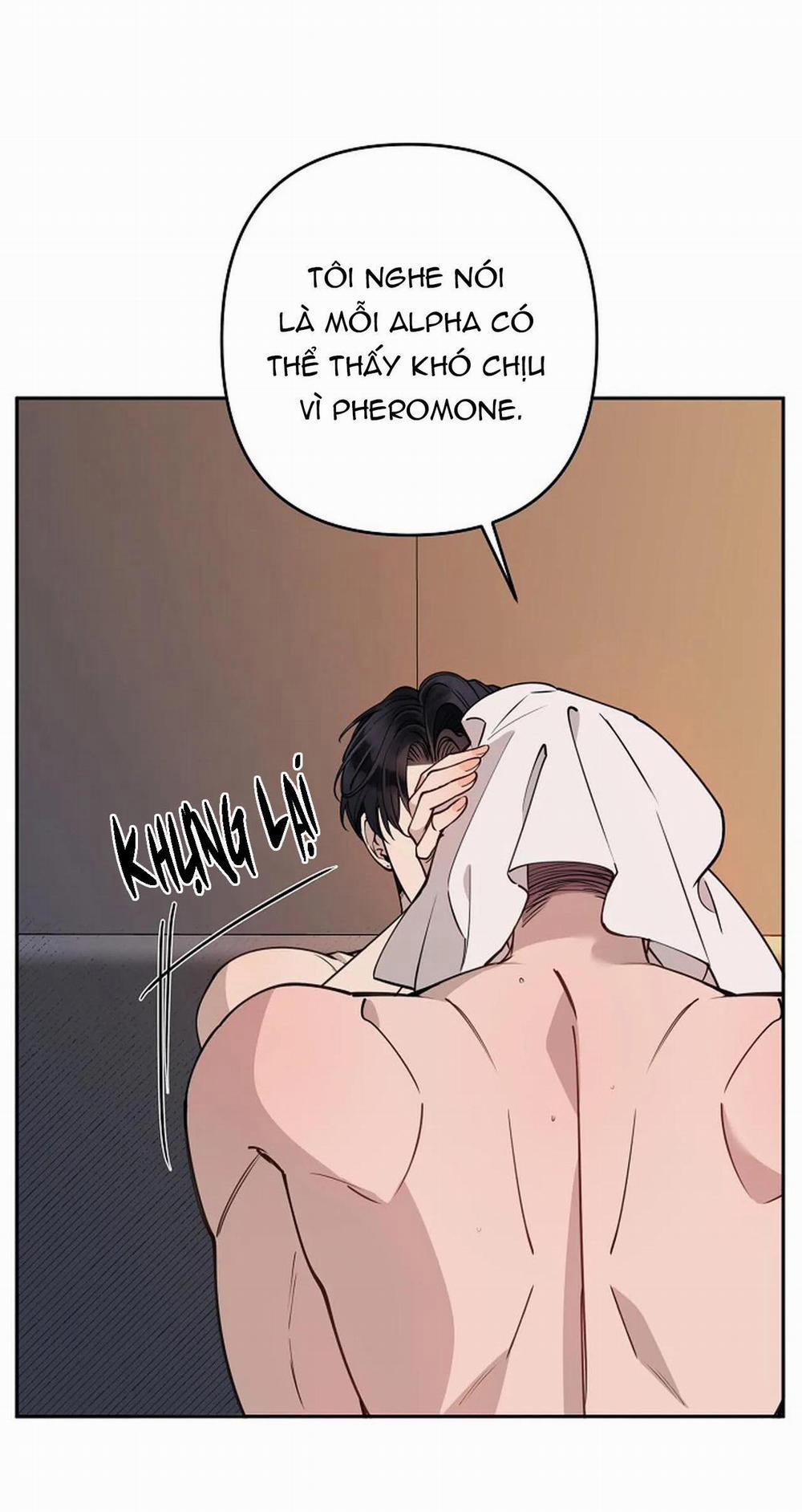 Đêm Dịu Dàng 15 trang 31