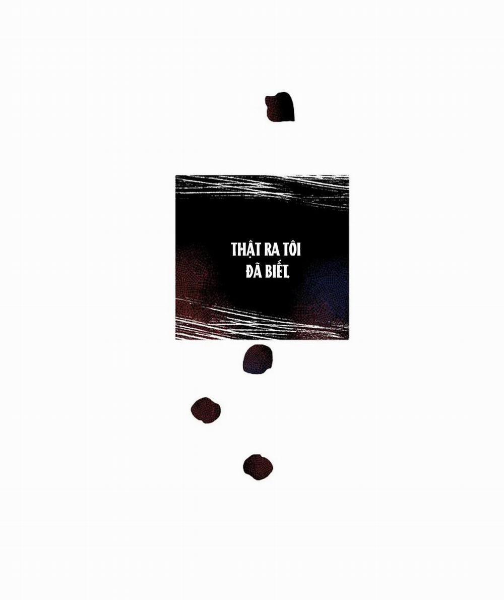 Đêm Dịu Dàng 16 trang 15