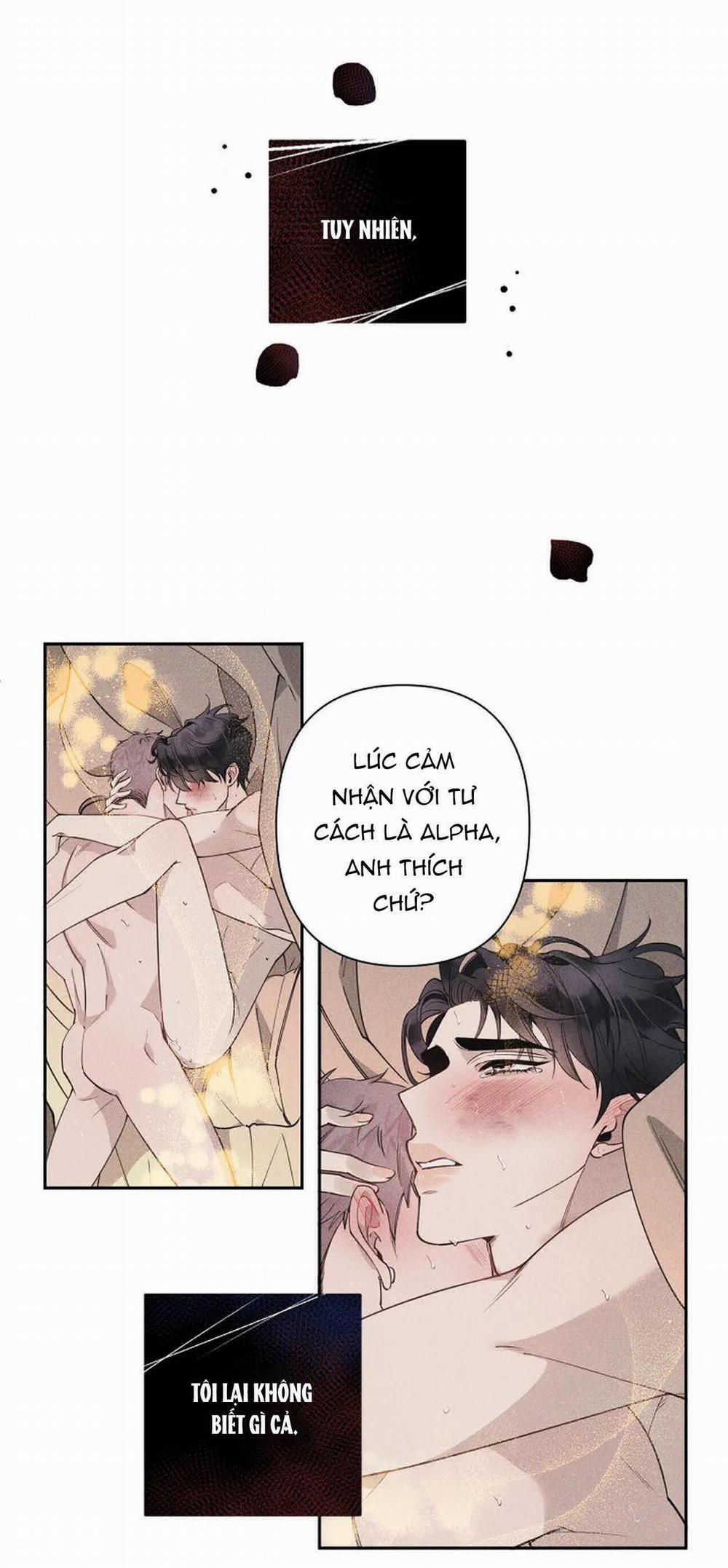 Đêm Dịu Dàng 16 trang 18