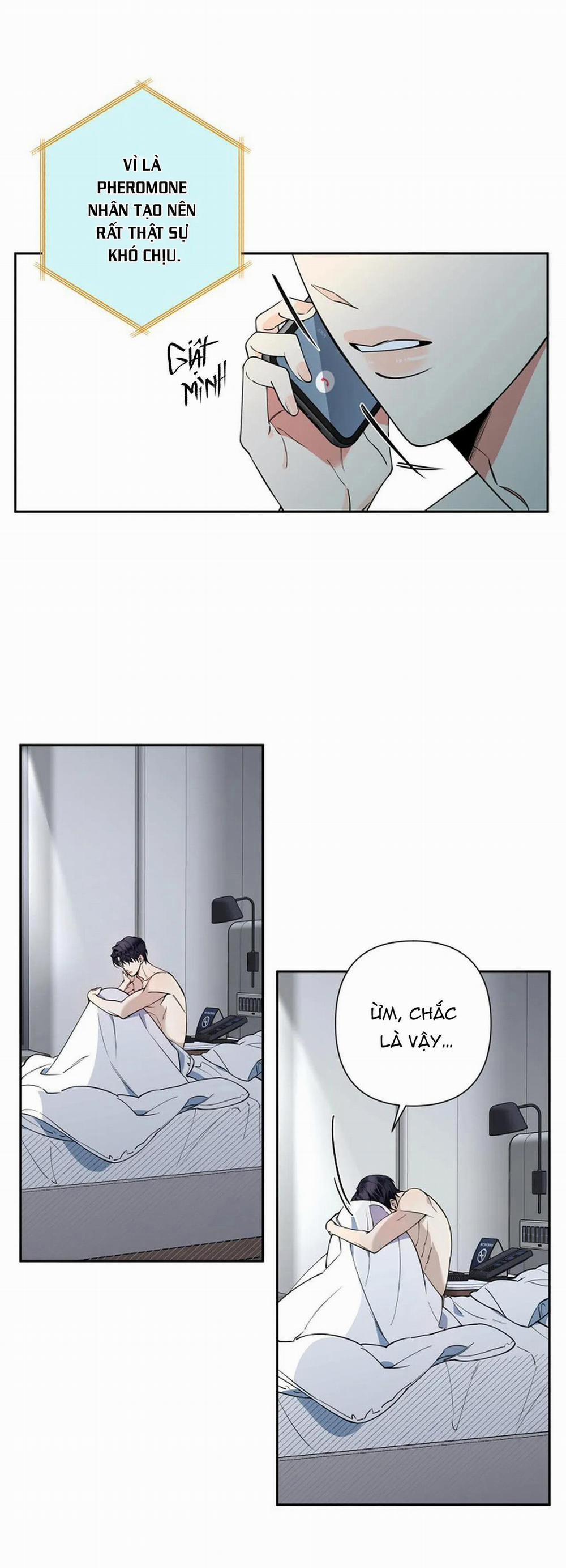 Đêm Dịu Dàng 16 trang 23