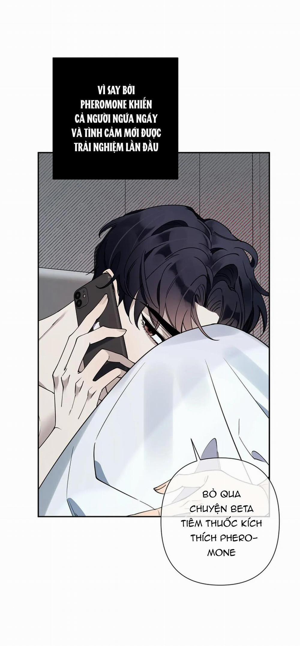 Đêm Dịu Dàng 16 trang 25