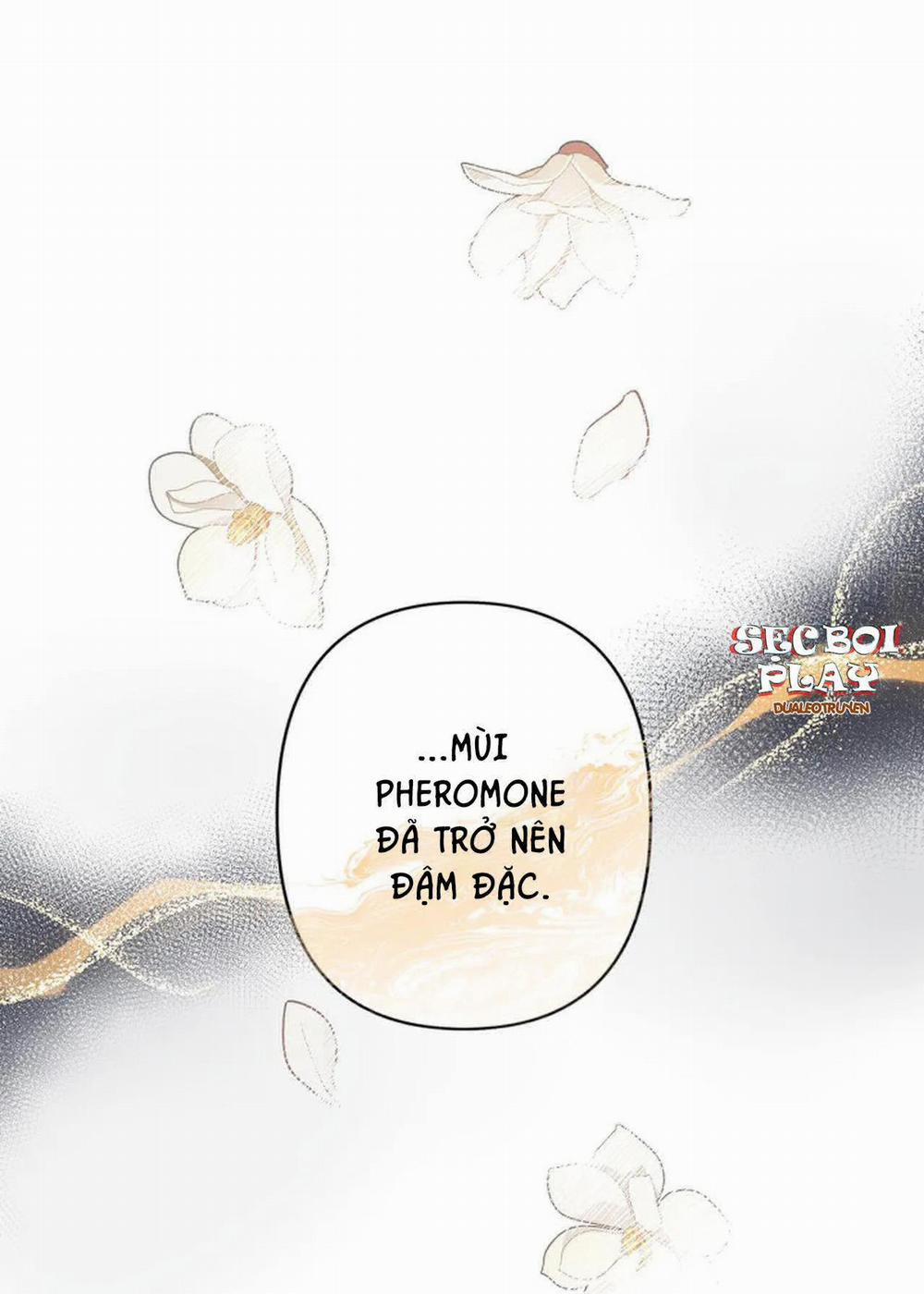Đêm Dịu Dàng 16 trang 7
