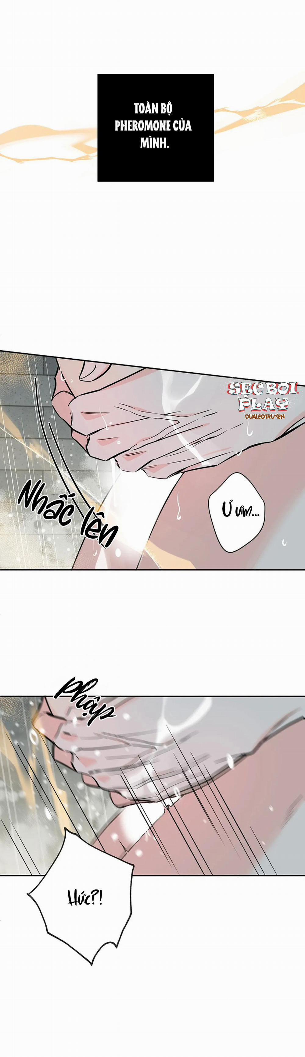 Đêm Dịu Dàng 21 trang 16