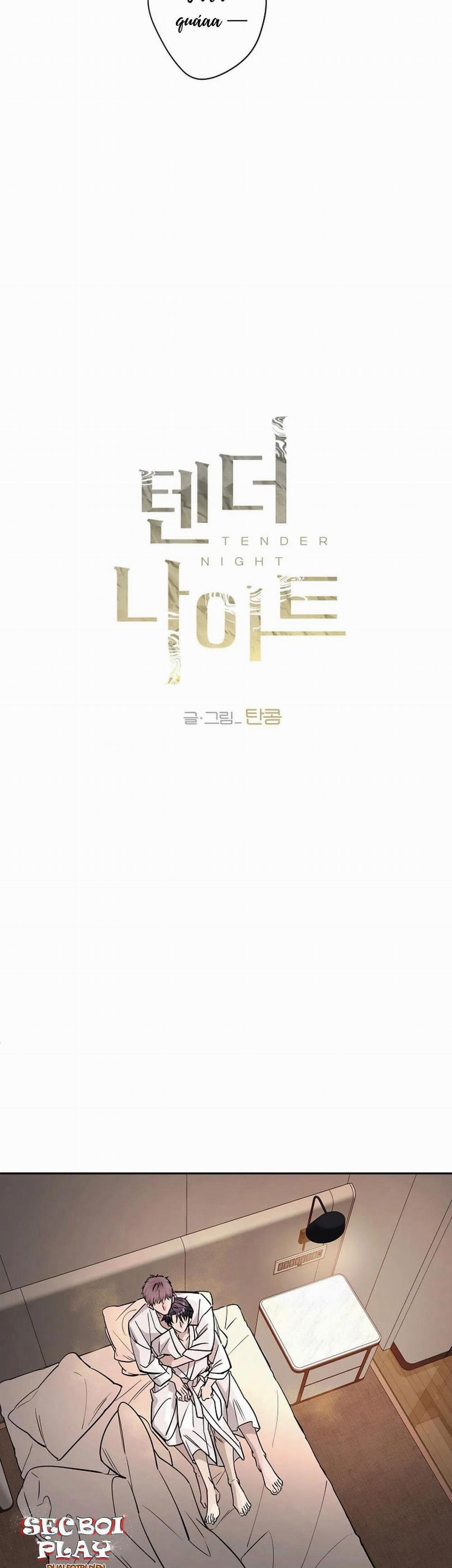 Đêm Dịu Dàng 21 trang 18