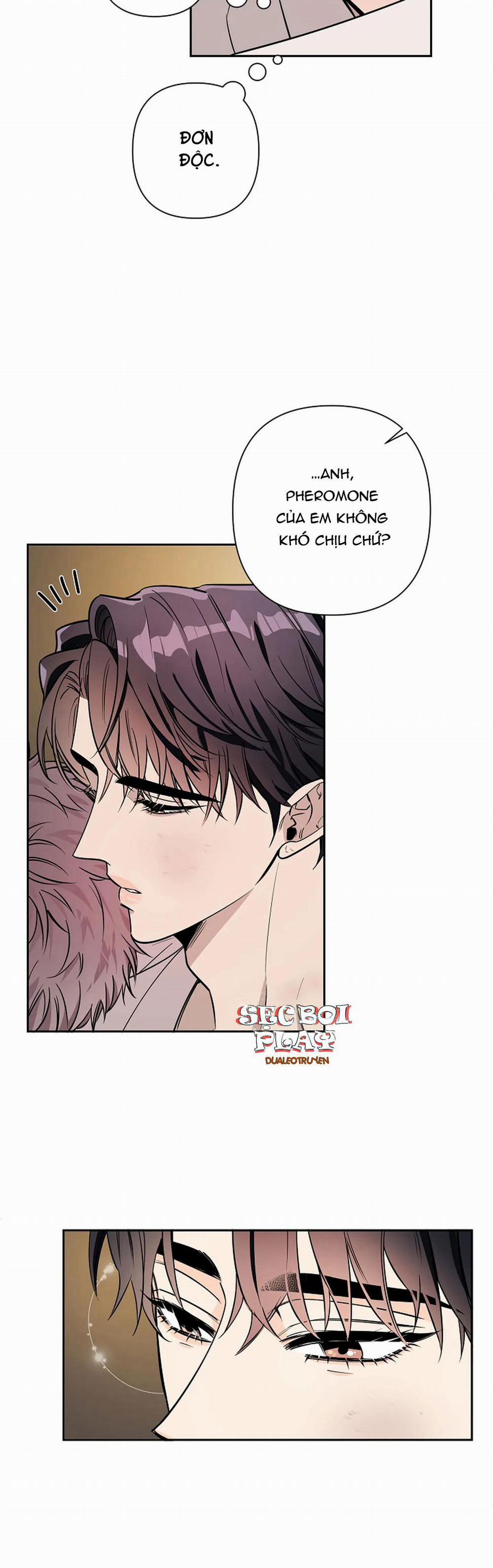 Đêm Dịu Dàng 21 trang 23