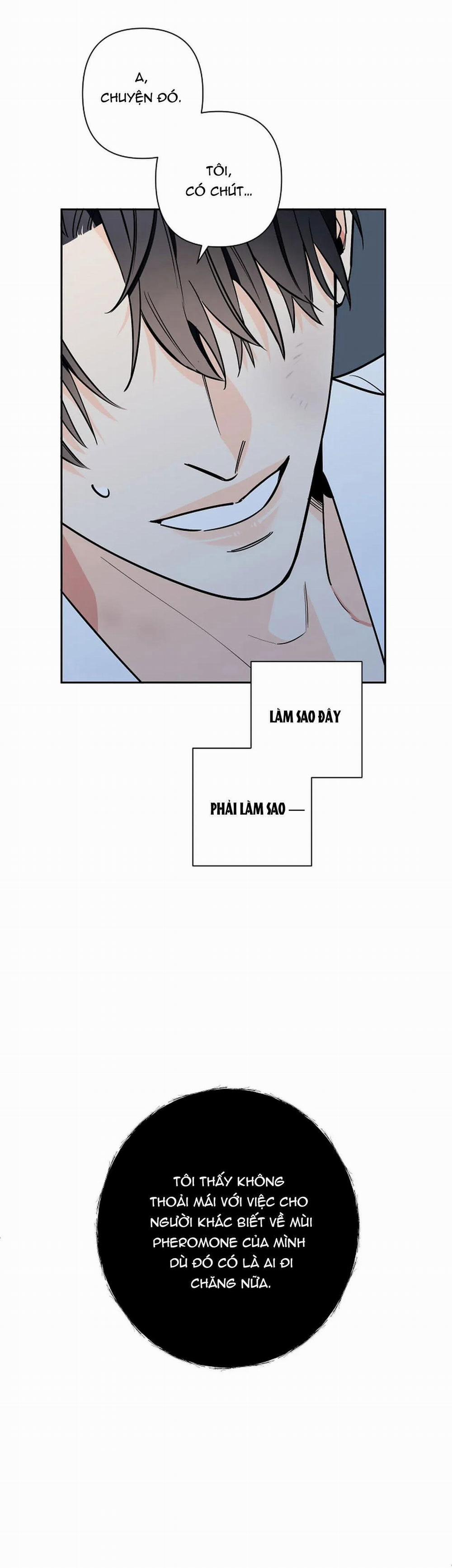 Đêm Dịu Dàng 21 trang 26