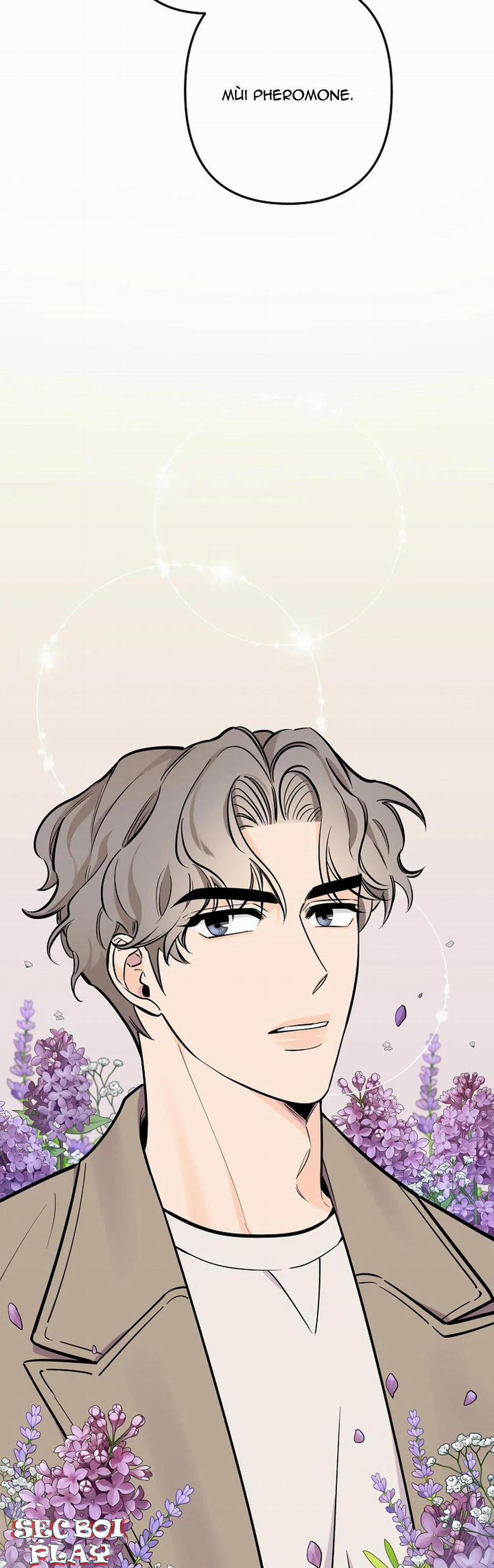 Đêm Dịu Dàng 22 trang 12