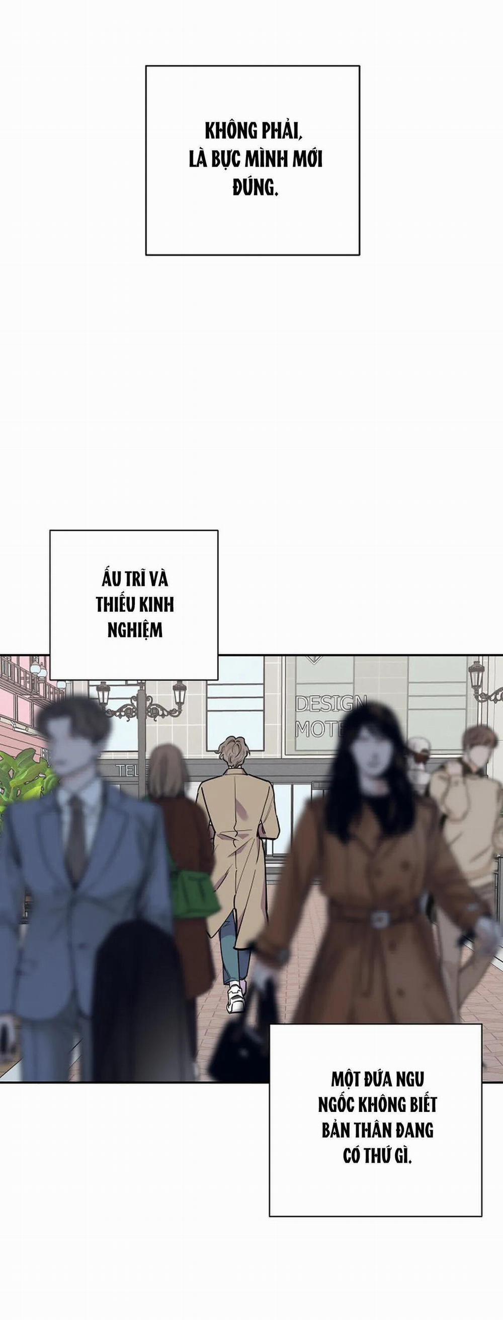 Đêm Dịu Dàng 23 trang 10