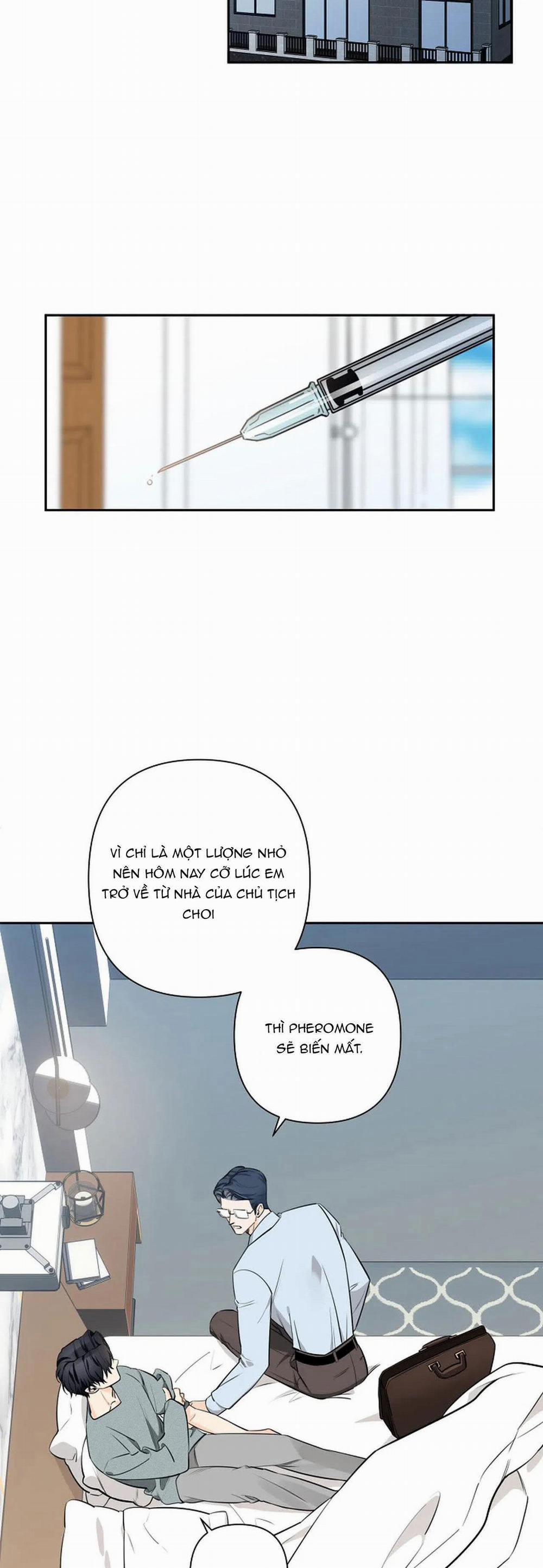 Đêm Dịu Dàng 28 trang 2