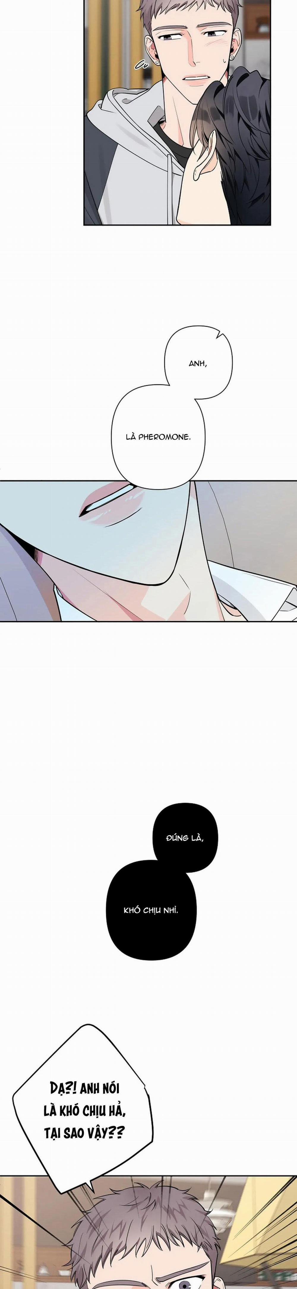 Đêm Dịu Dàng 31 trang 12