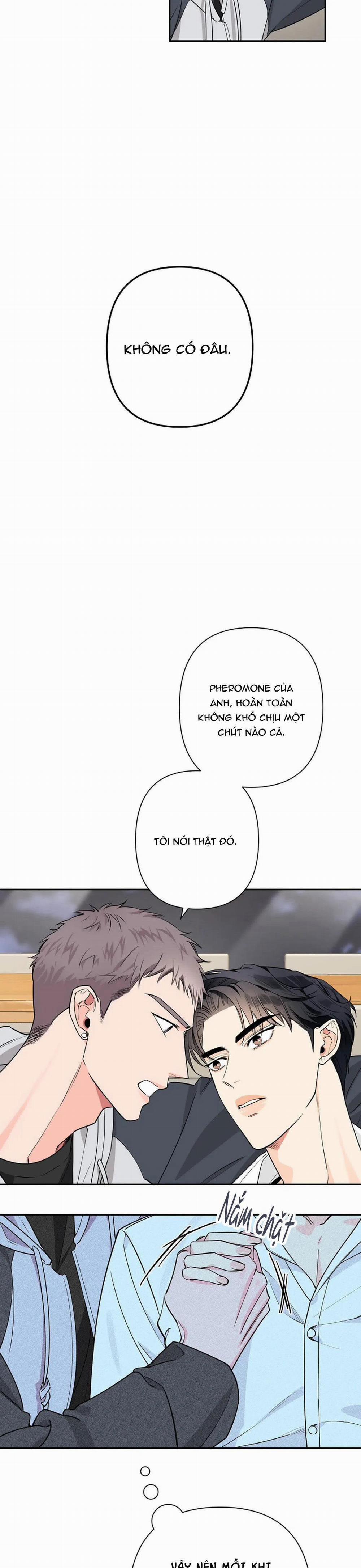 Đêm Dịu Dàng 31 trang 14