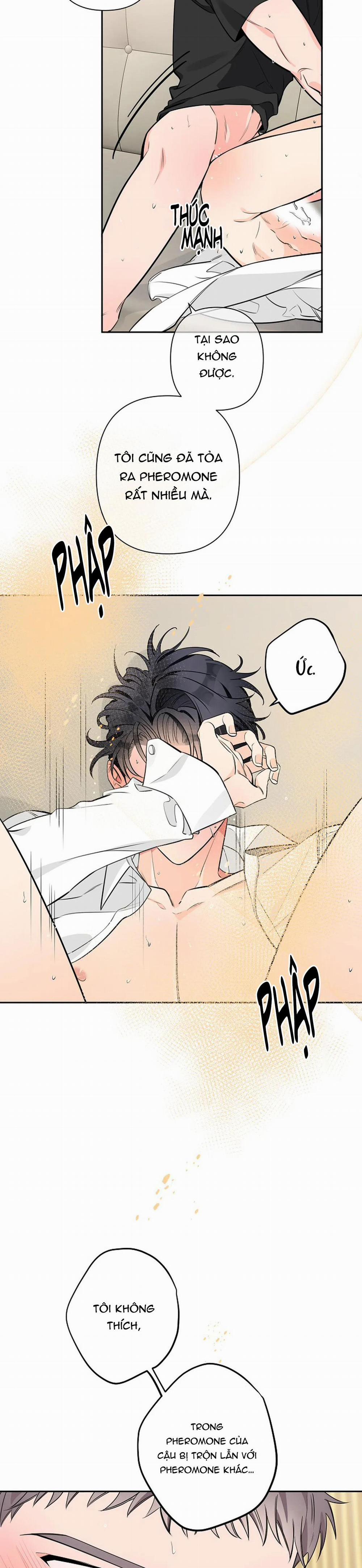 Đêm Dịu Dàng 31 trang 29