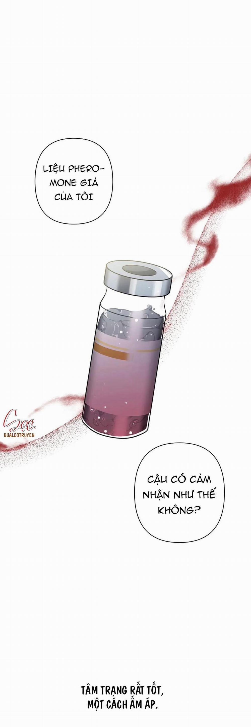 Đêm Dịu Dàng 32 trang 15