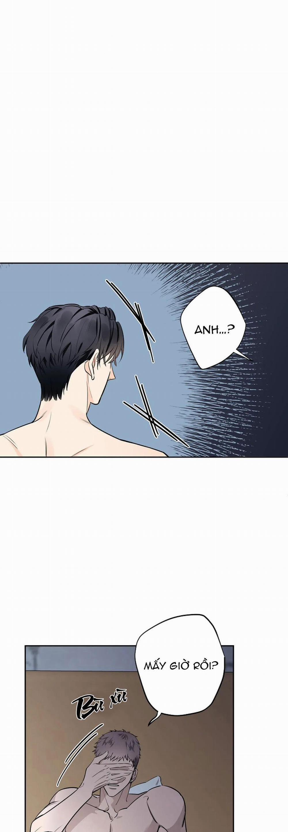 Đêm Dịu Dàng 32 trang 16