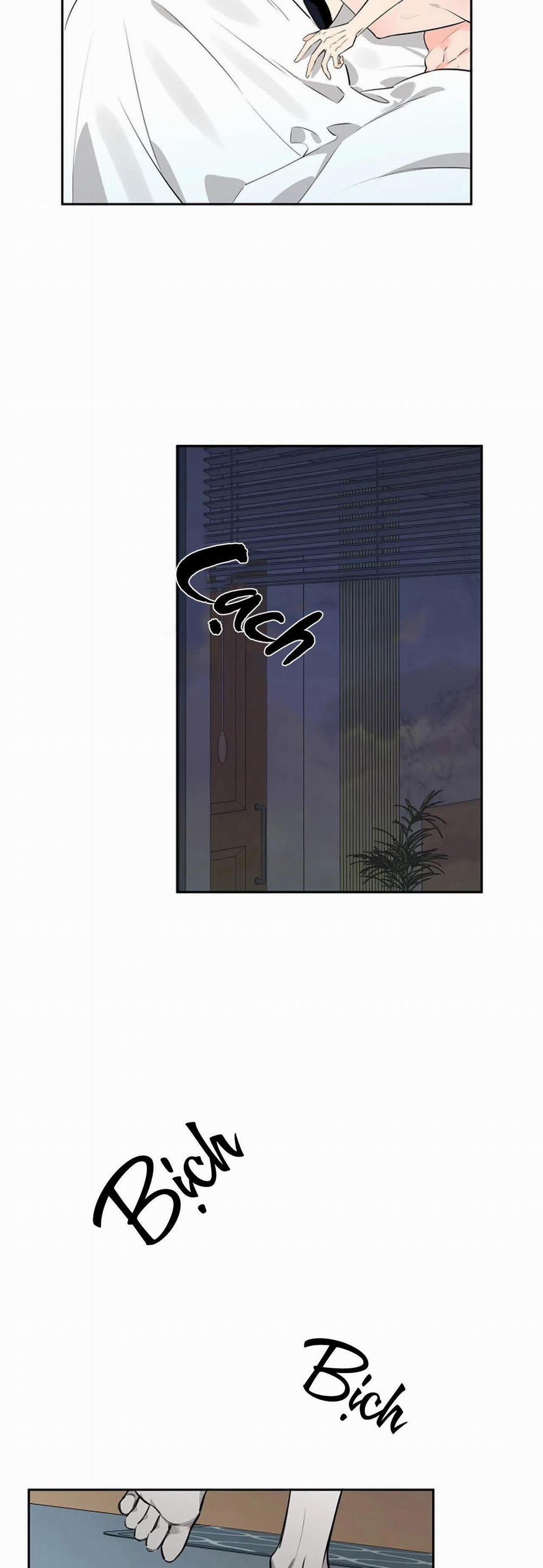 Đêm Dịu Dàng 32 trang 6