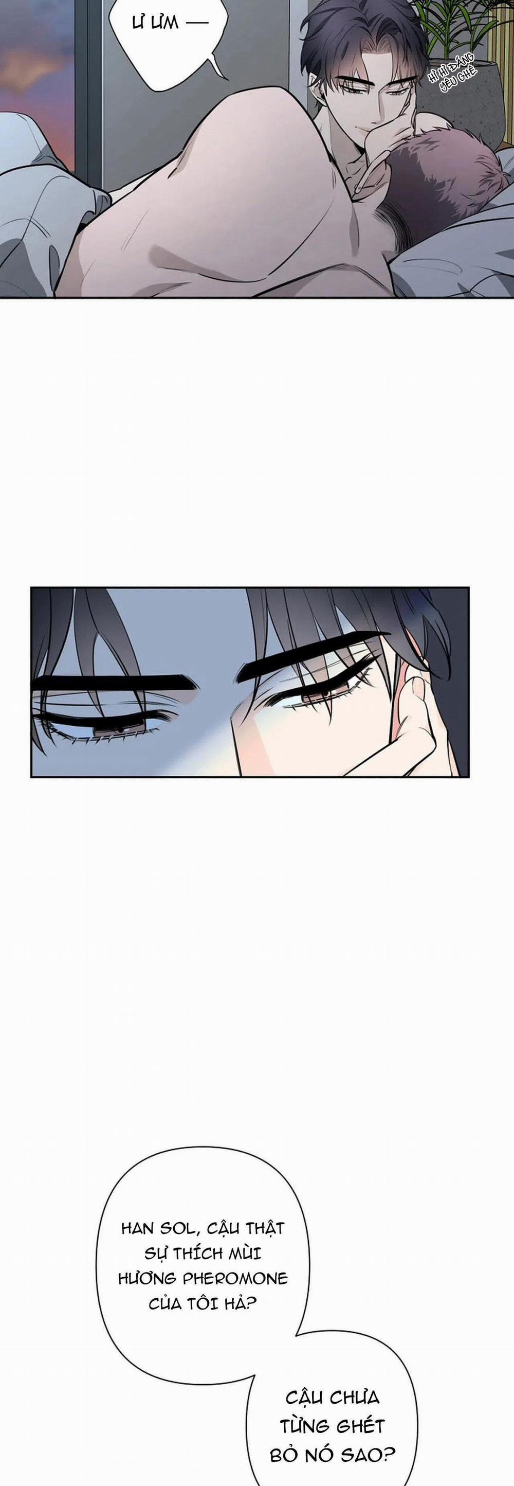 Đêm Dịu Dàng 32 trang 8