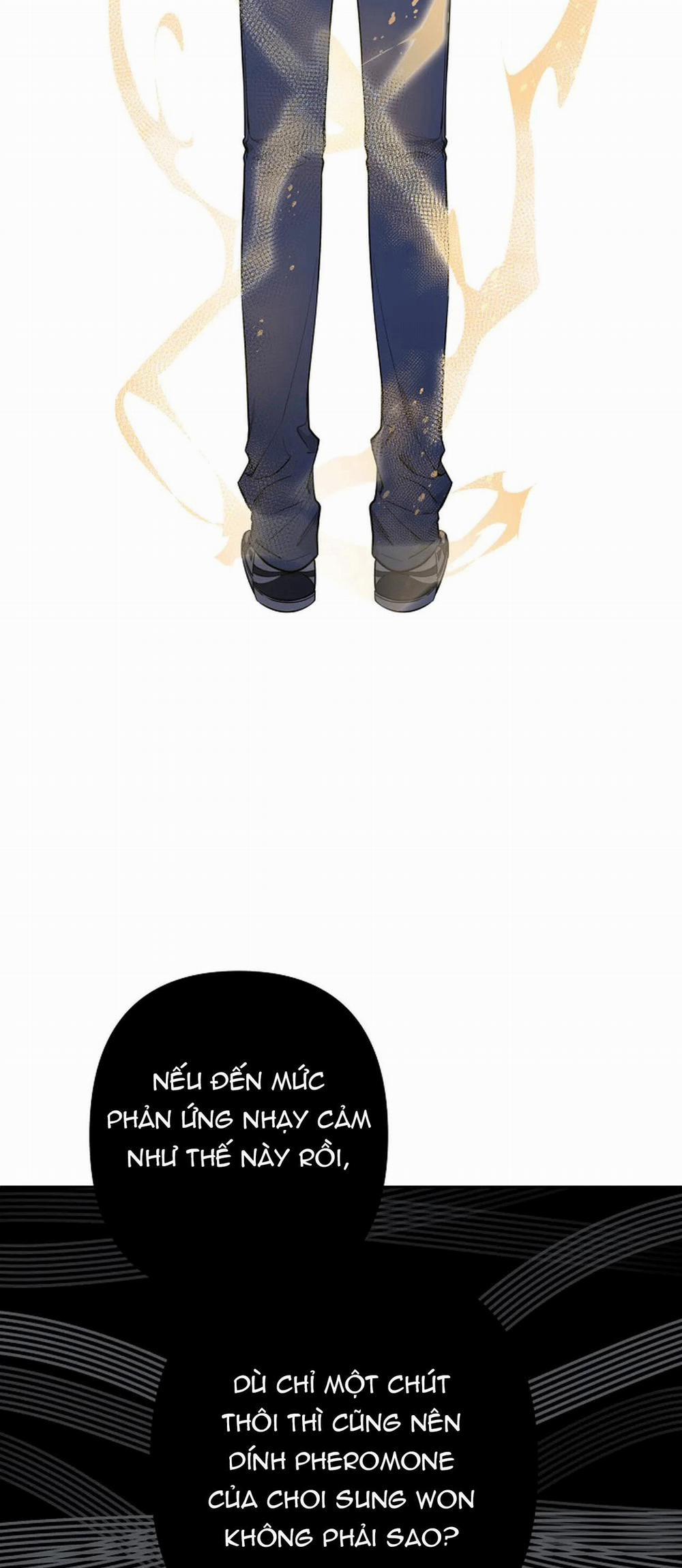 Đêm Dịu Dàng 33 trang 40