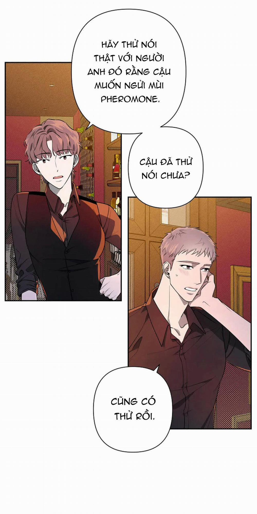 Đêm Dịu Dàng 35 trang 47