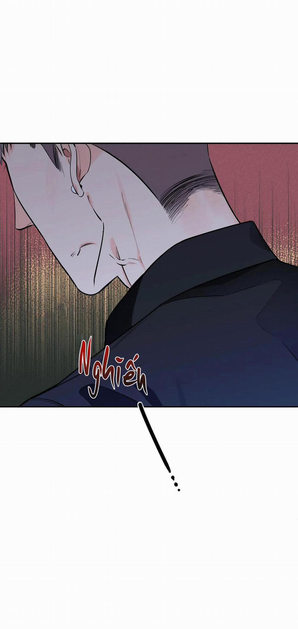 Đêm Dịu Dàng 36 trang 14