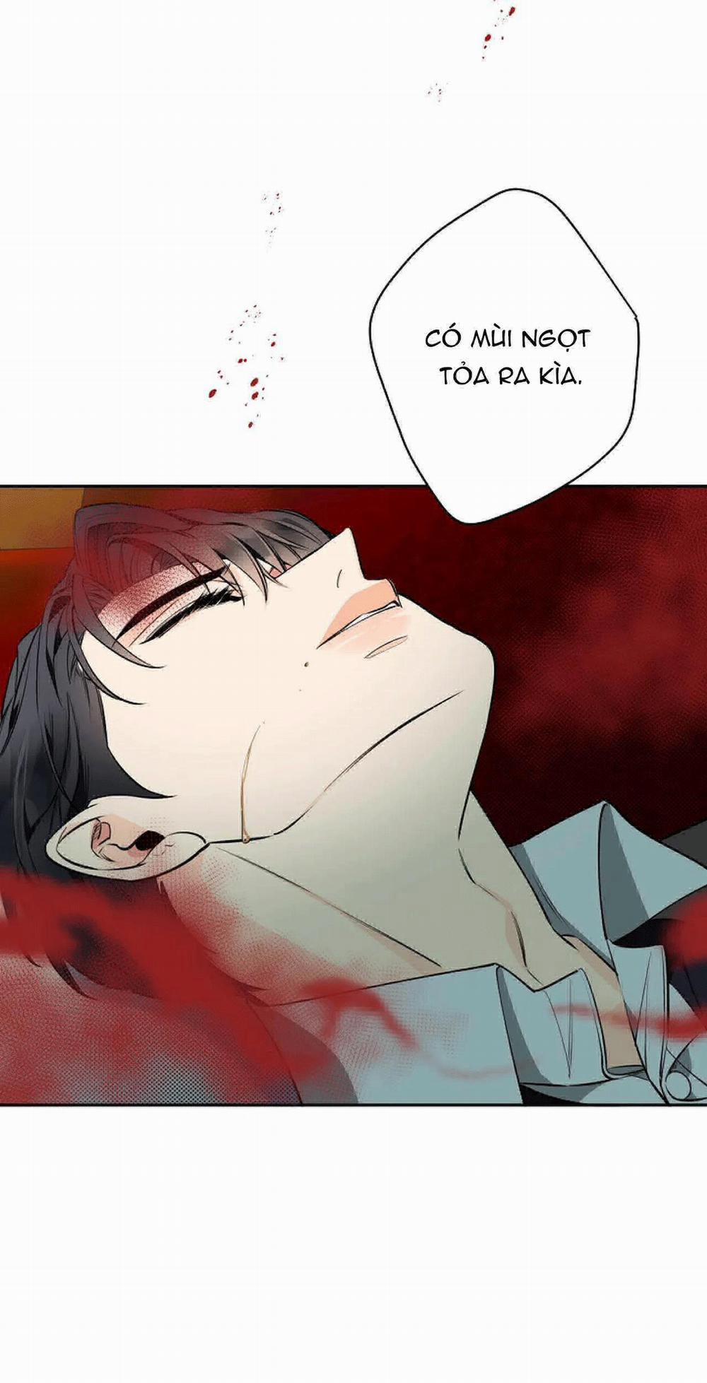 Đêm Dịu Dàng 36 trang 35
