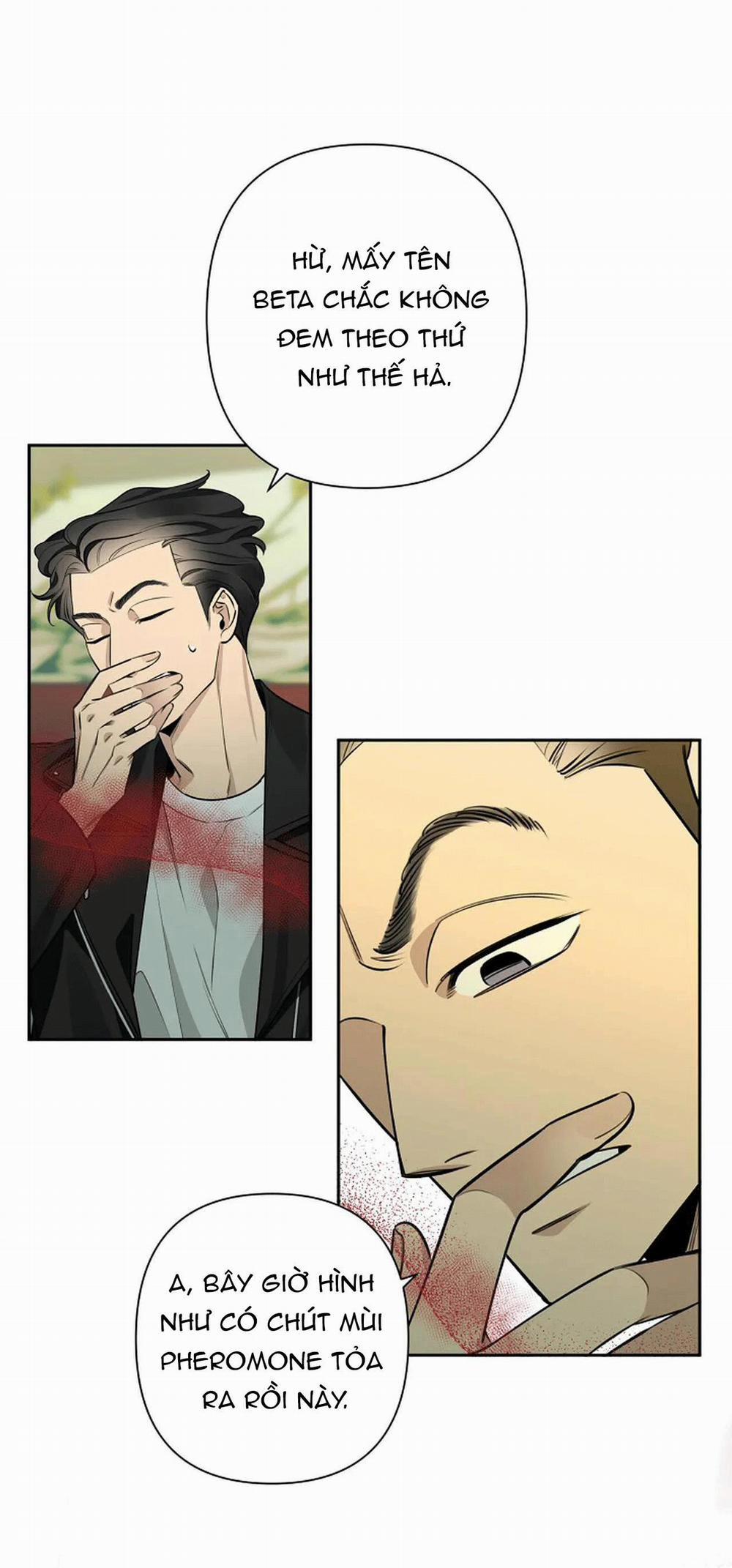 Đêm Dịu Dàng 36 trang 38