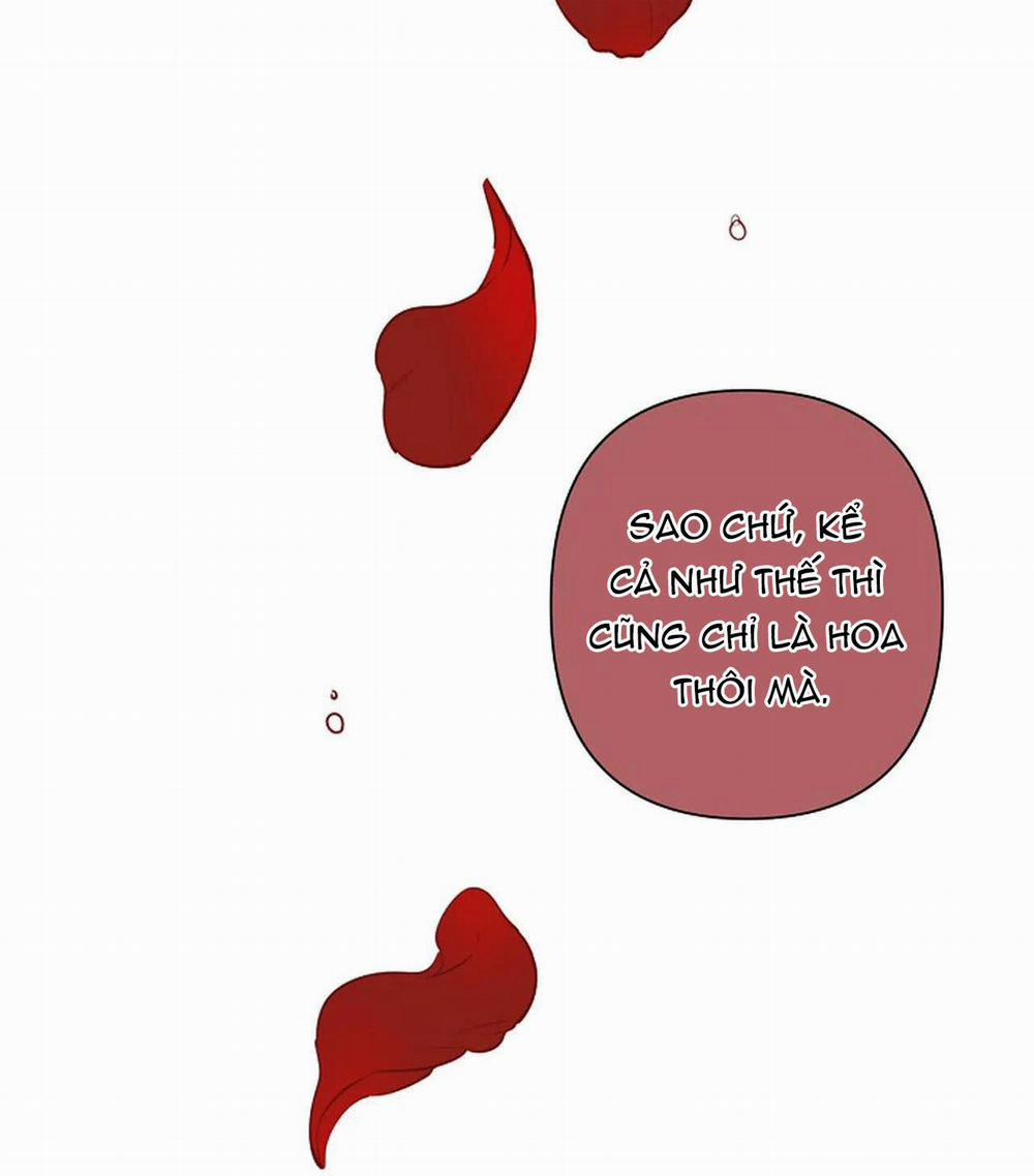 Đêm Dịu Dàng 36 trang 42