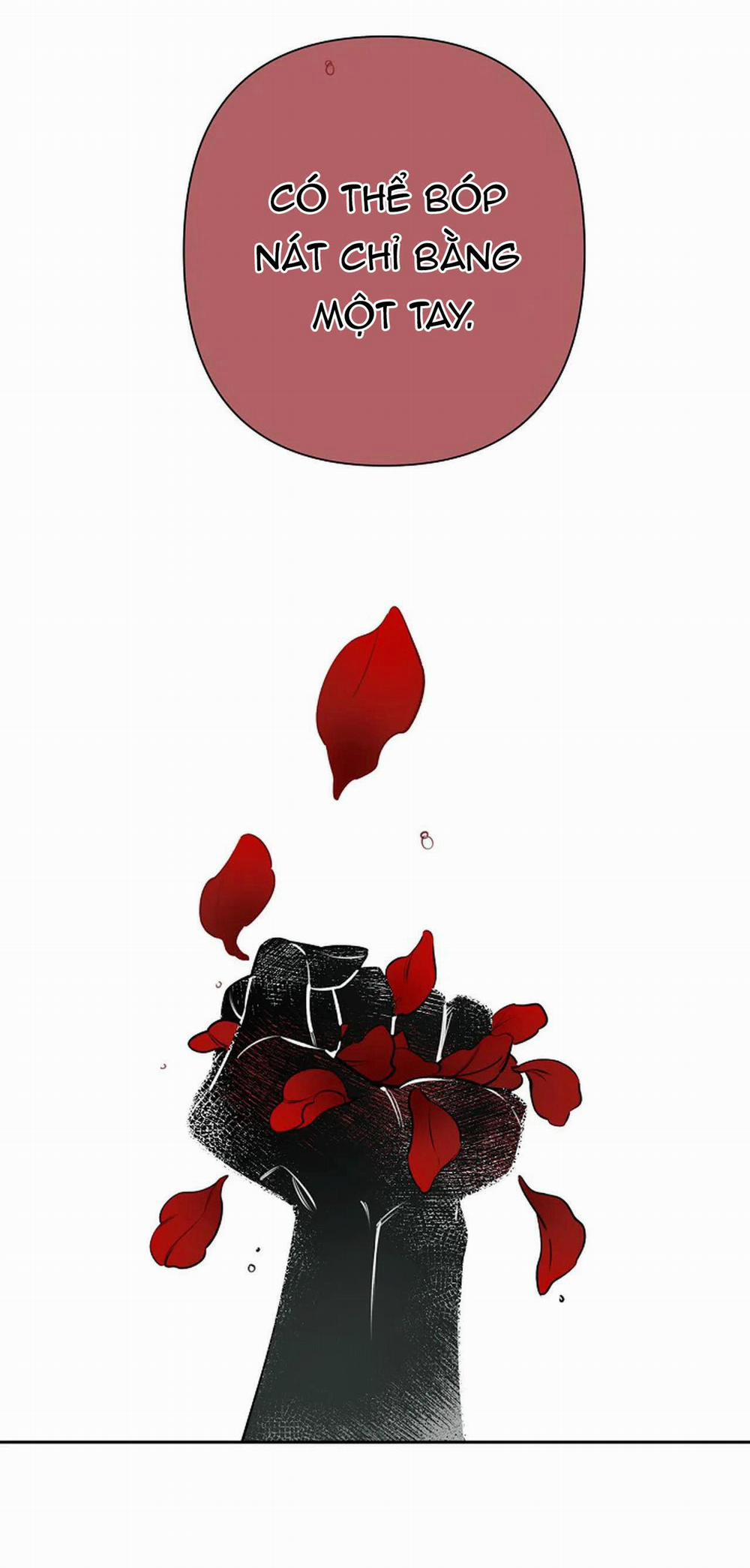 Đêm Dịu Dàng 36 trang 43