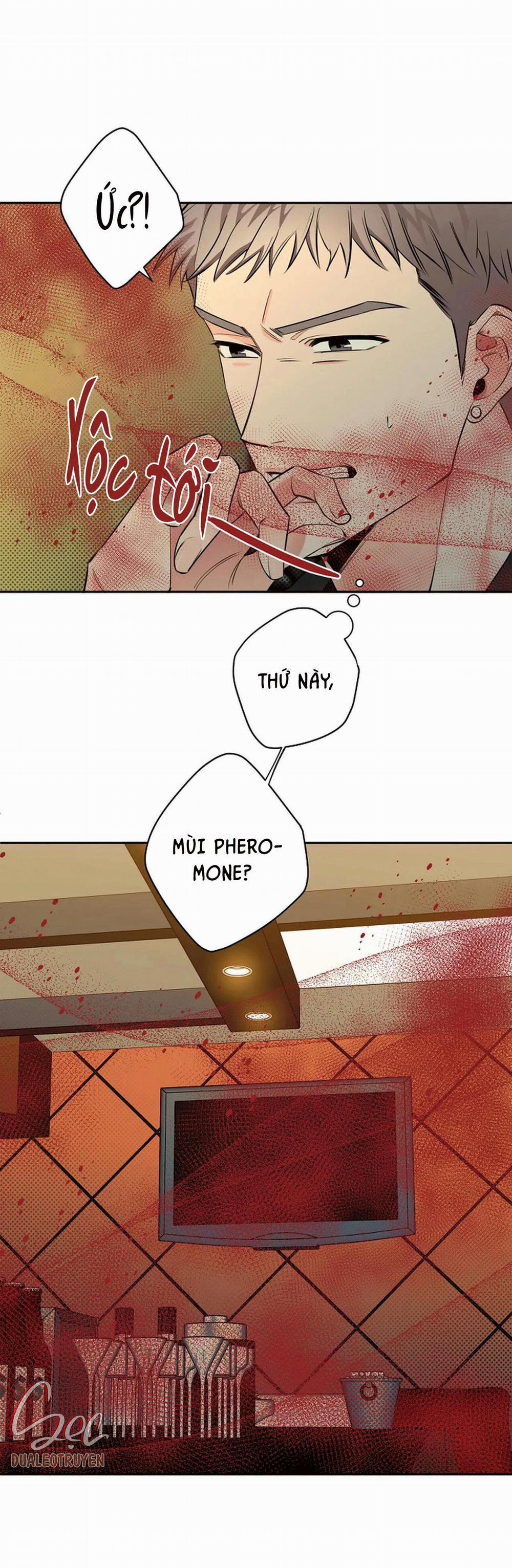 Đêm Dịu Dàng 36 trang 49