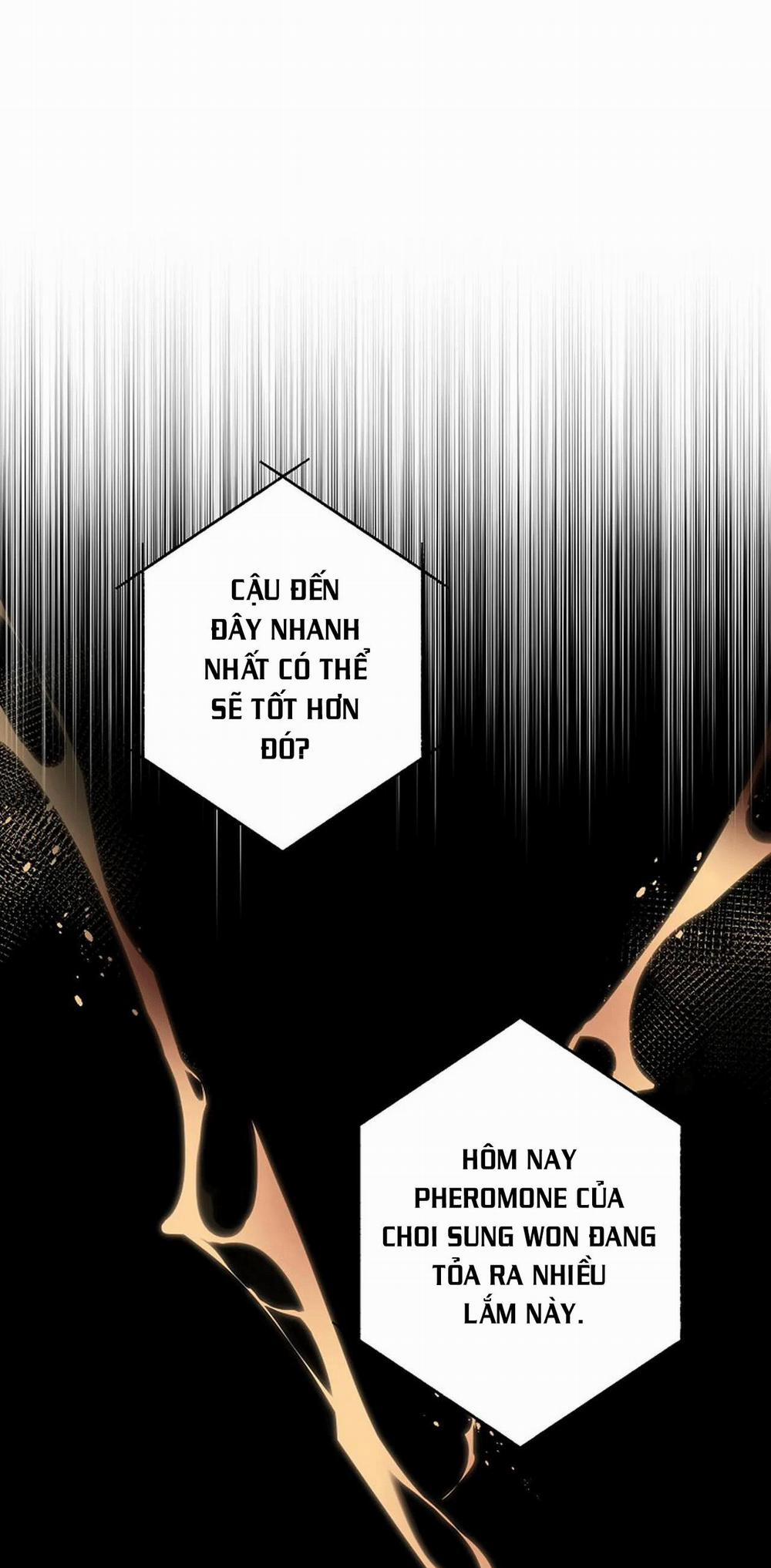 Đêm Dịu Dàng 36 trang 8