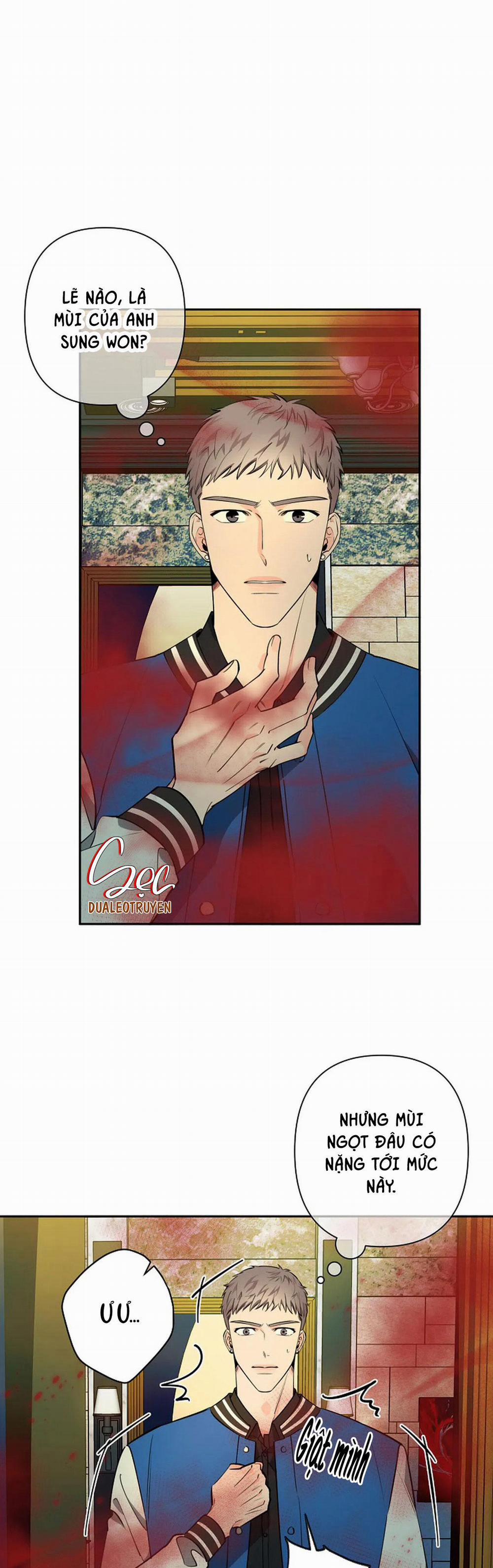 Đêm Dịu Dàng 37 trang 2