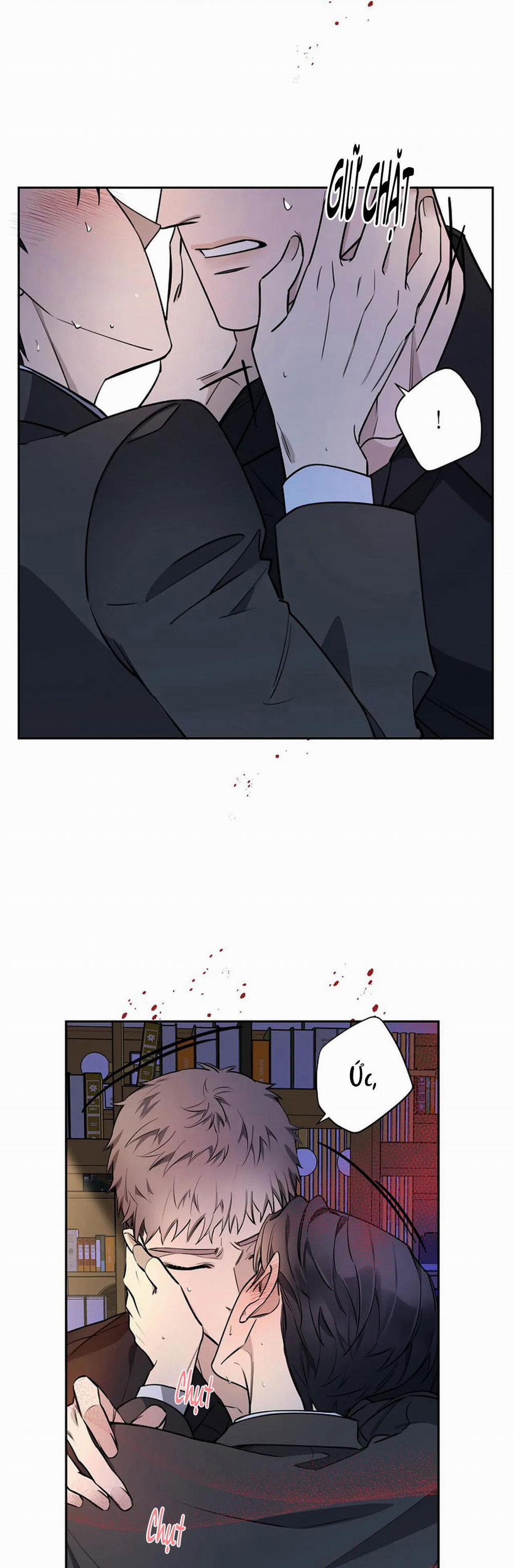 Đêm Dịu Dàng 37 trang 21