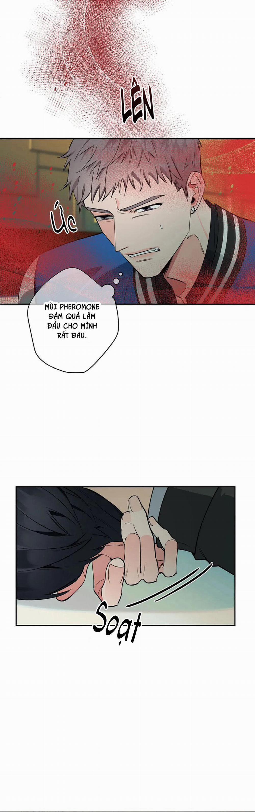 Đêm Dịu Dàng 37 trang 5