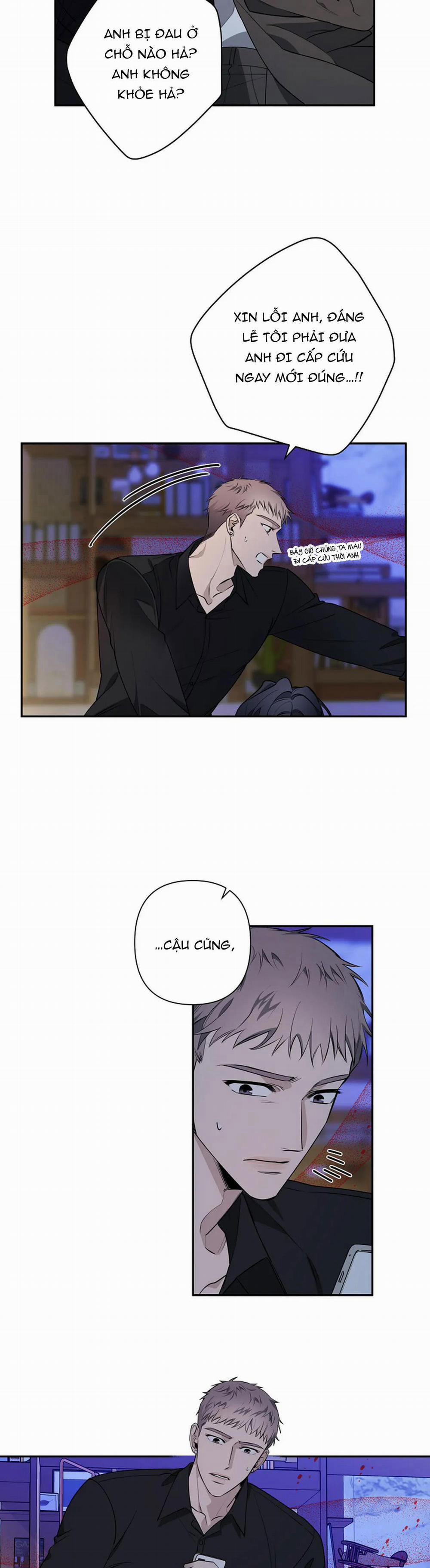 Đêm Dịu Dàng 38 trang 11