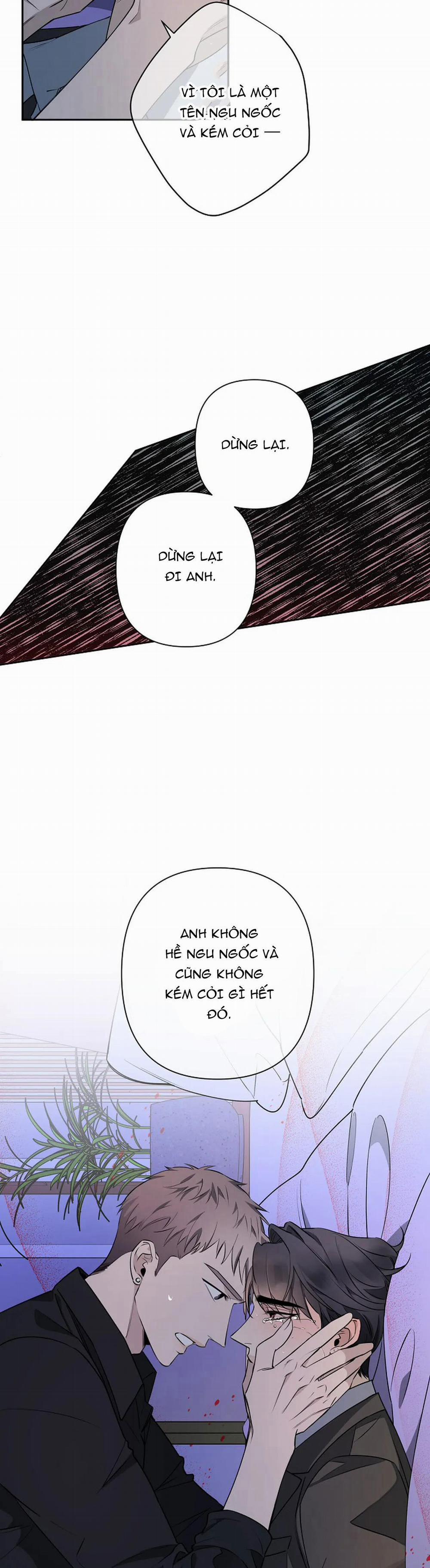 Đêm Dịu Dàng 38 trang 16