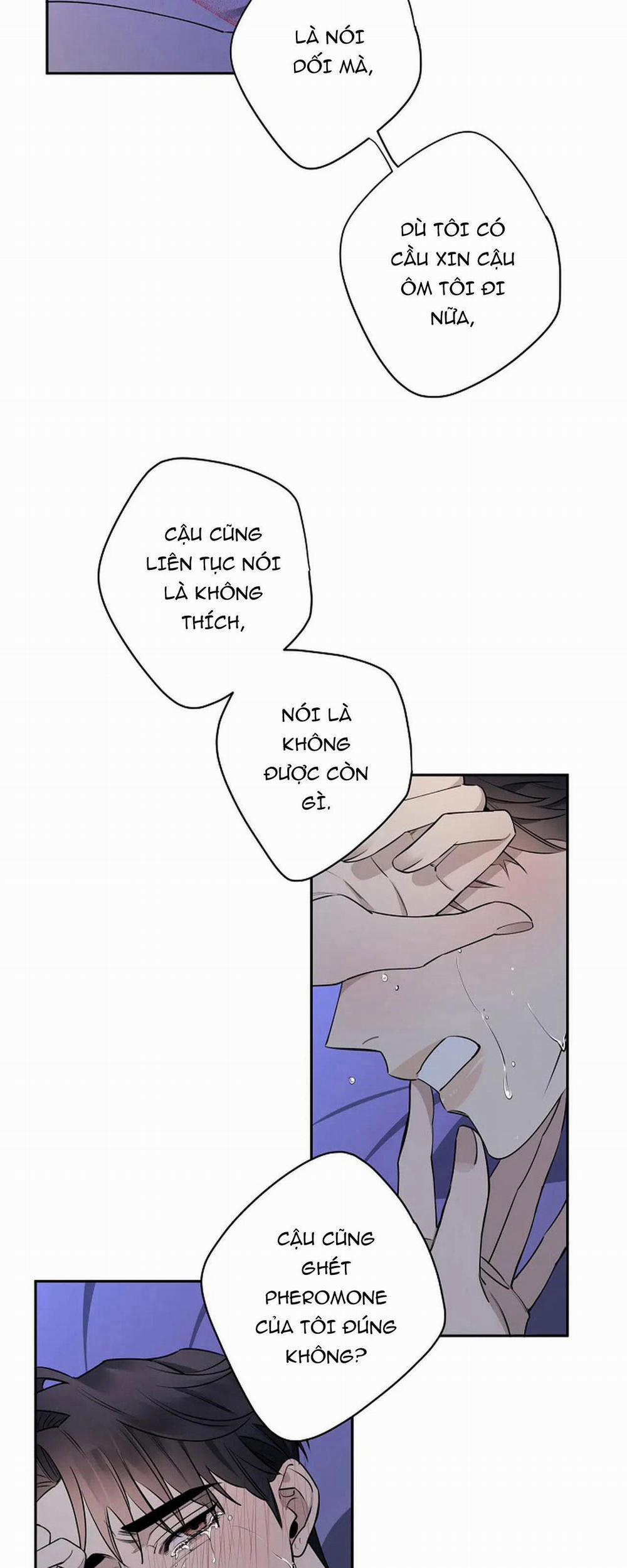 Đêm Dịu Dàng 38 trang 19