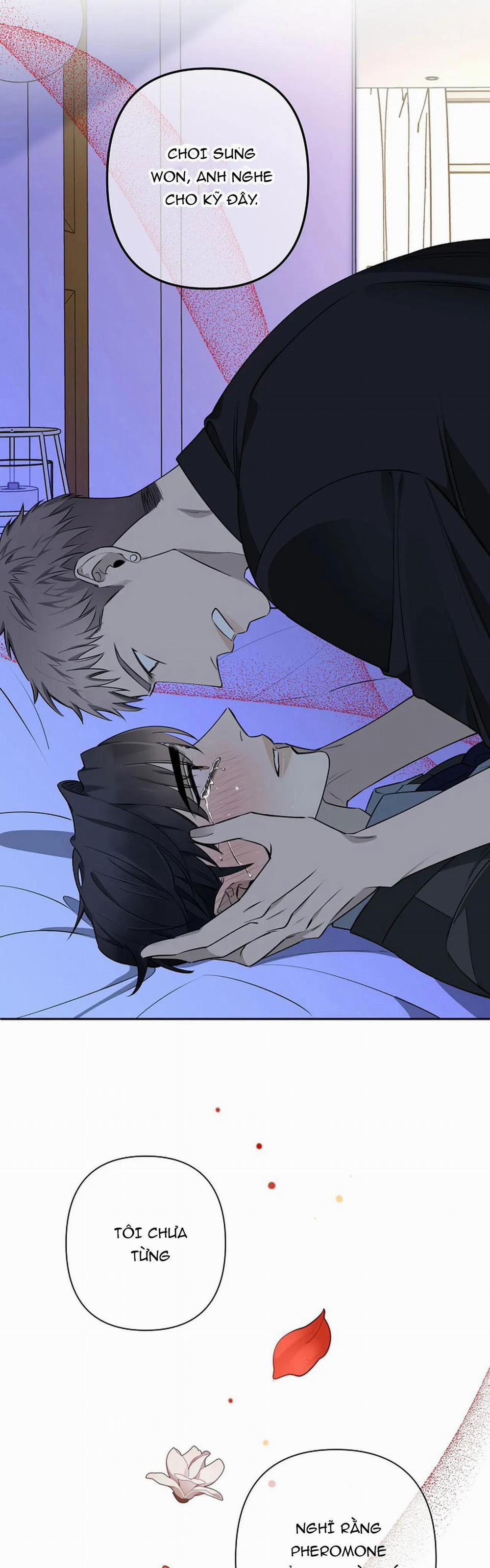 Đêm Dịu Dàng 38 trang 22