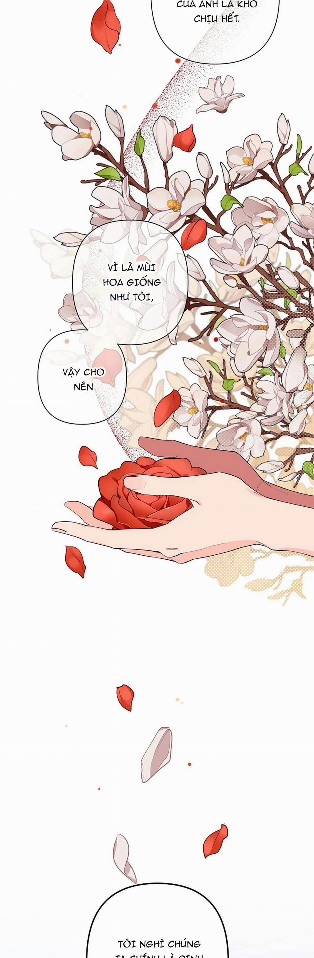 Đêm Dịu Dàng 38 trang 23