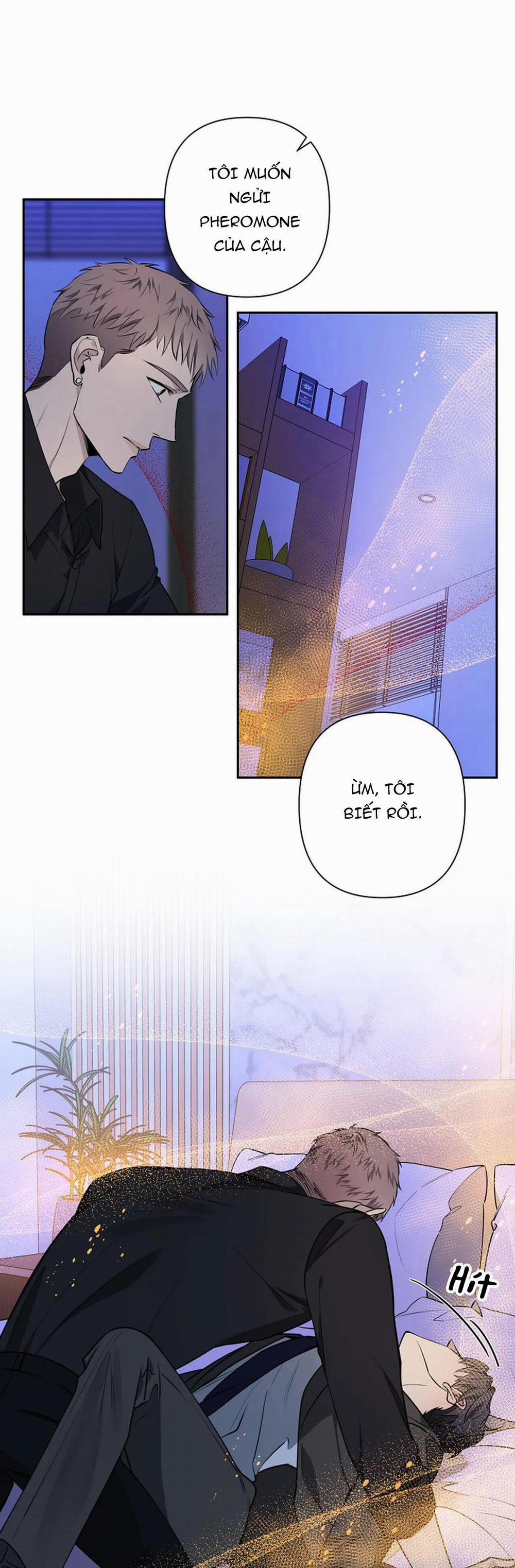 Đêm Dịu Dàng 38 trang 33