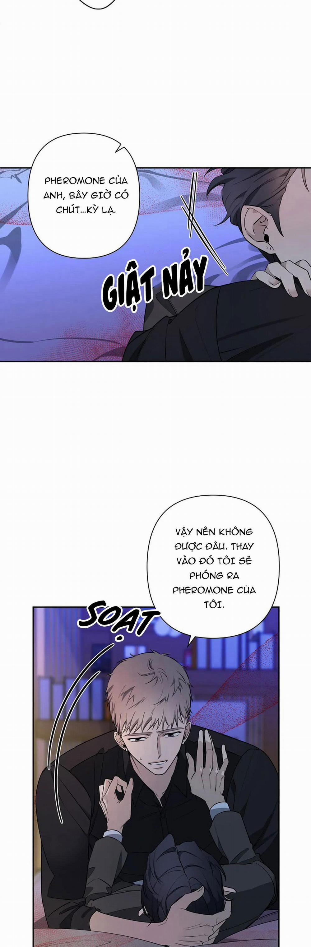 Đêm Dịu Dàng 38 trang 8