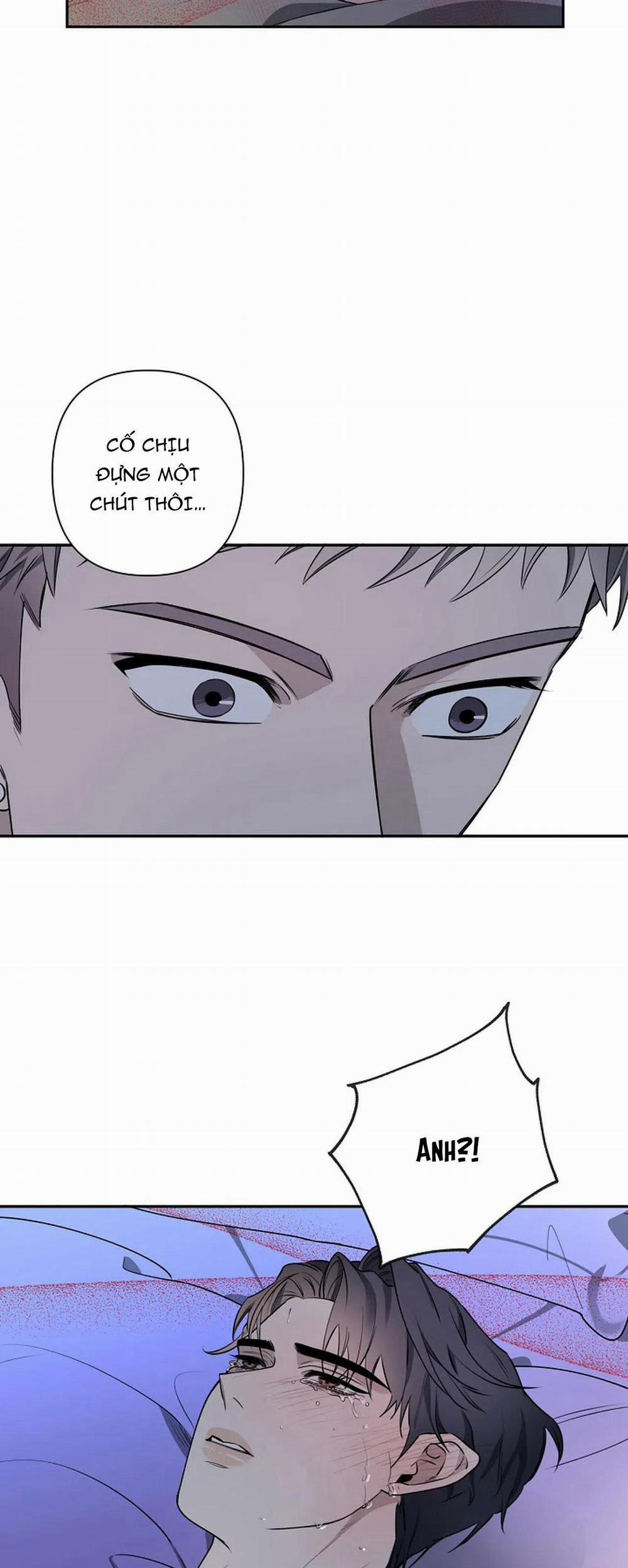 Đêm Dịu Dàng 38 trang 9