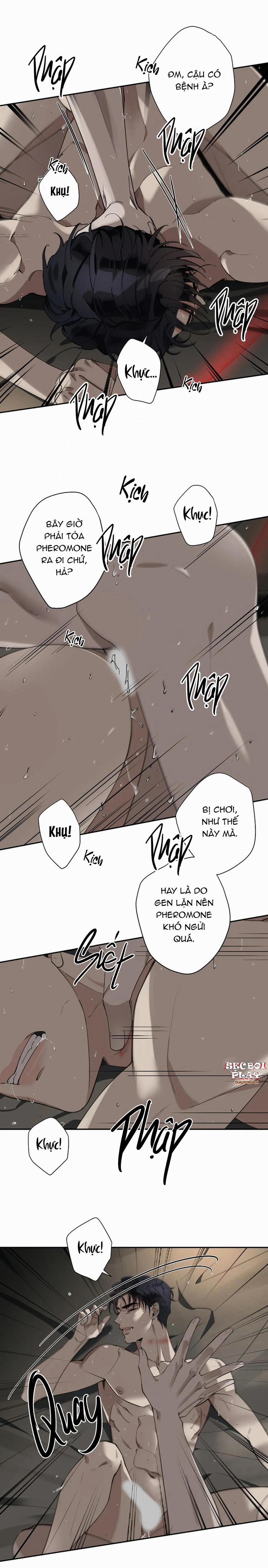 Đêm Dịu Dàng 4 trang 12