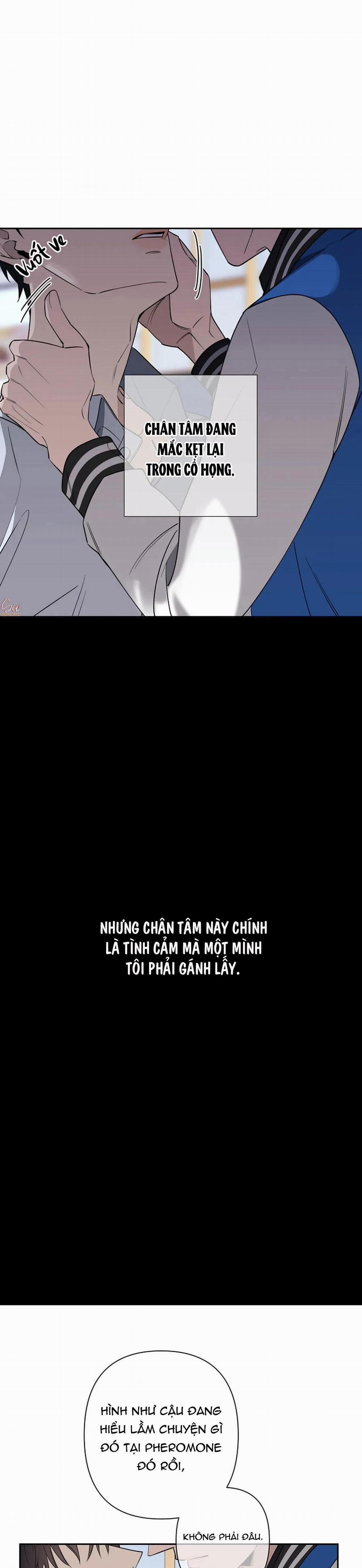 Đêm Dịu Dàng 40 trang 10