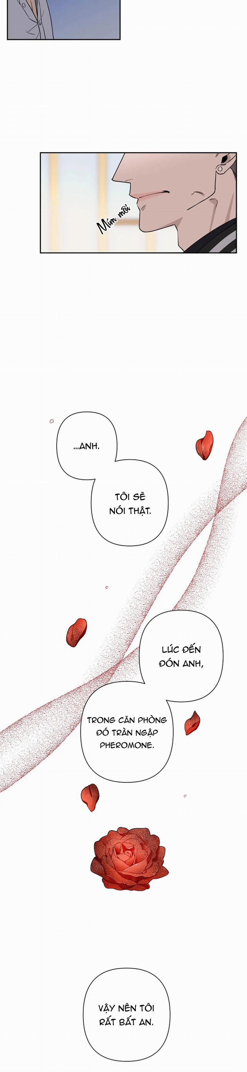 Đêm Dịu Dàng 40 trang 8