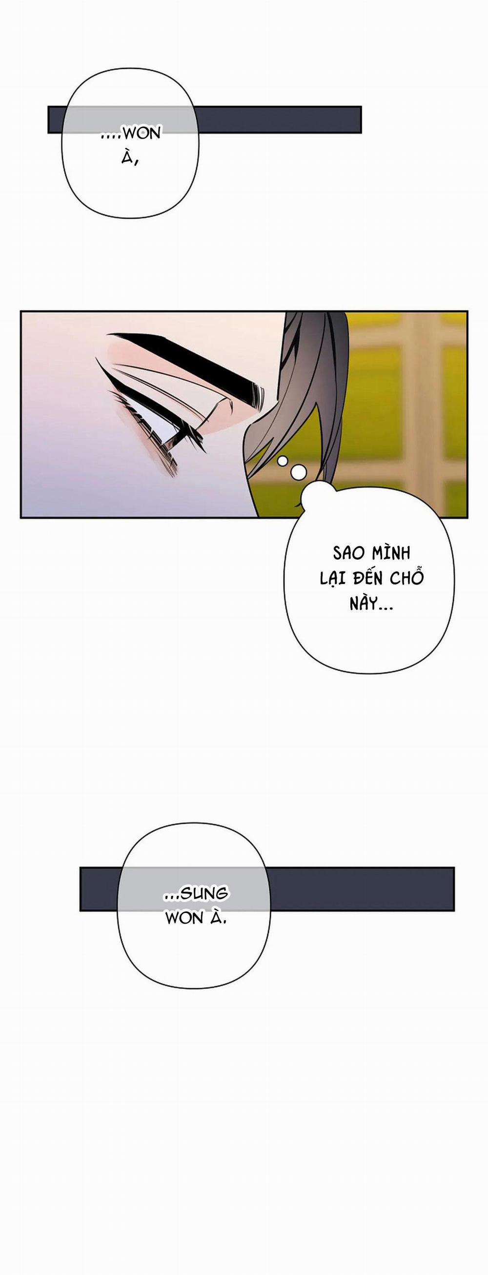 Đêm Dịu Dàng 43 trang 14