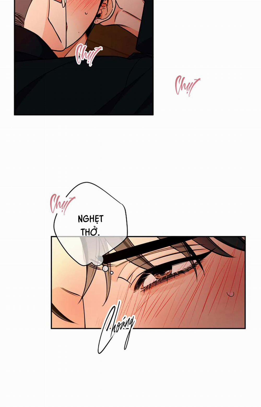 Đêm Dịu Dàng 46 trang 14