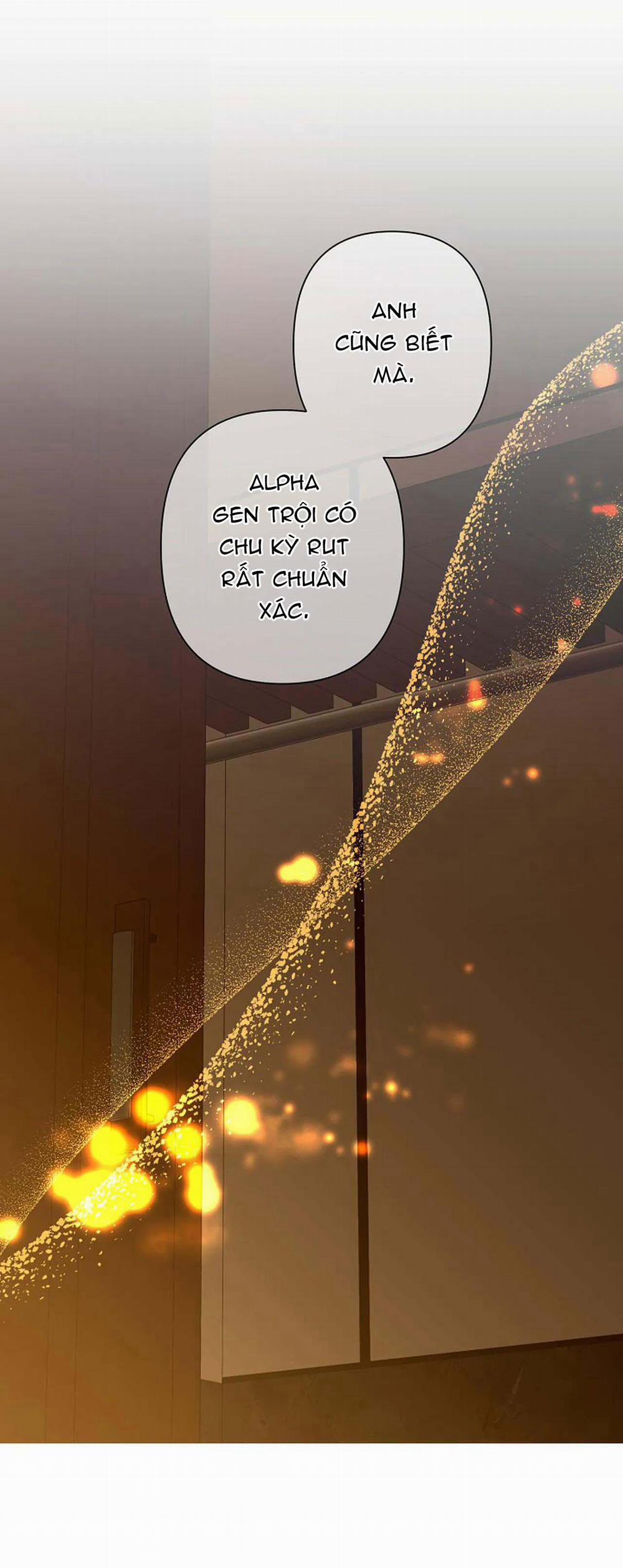 Đêm Dịu Dàng 46 trang 3